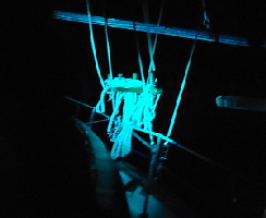 A good nightime reflection indicates the navigation lights are working correctly