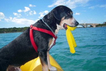 TobyPostBeachRomp