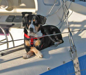 toby@vero
